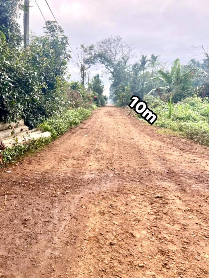 Đất nền xã Cuor Đăng 250m² giá tốt - Cần tiền bán gấp!