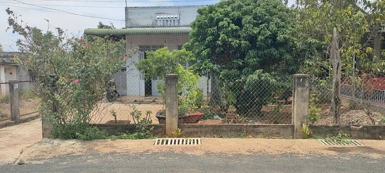 Nhà cấp 4 tại thôn 1, xã Hòa Xuân Nam, 144m² - Giá chỉ 1 tỷ, chính chủ!