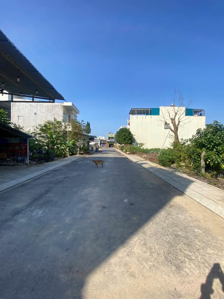 Đất nền Hẻm 363 Nguyễn Trãi, TP Quảng Ngãi 78m² giá 1.55 tỷ - Vị trí yên tĩnh, an ninh tốt!