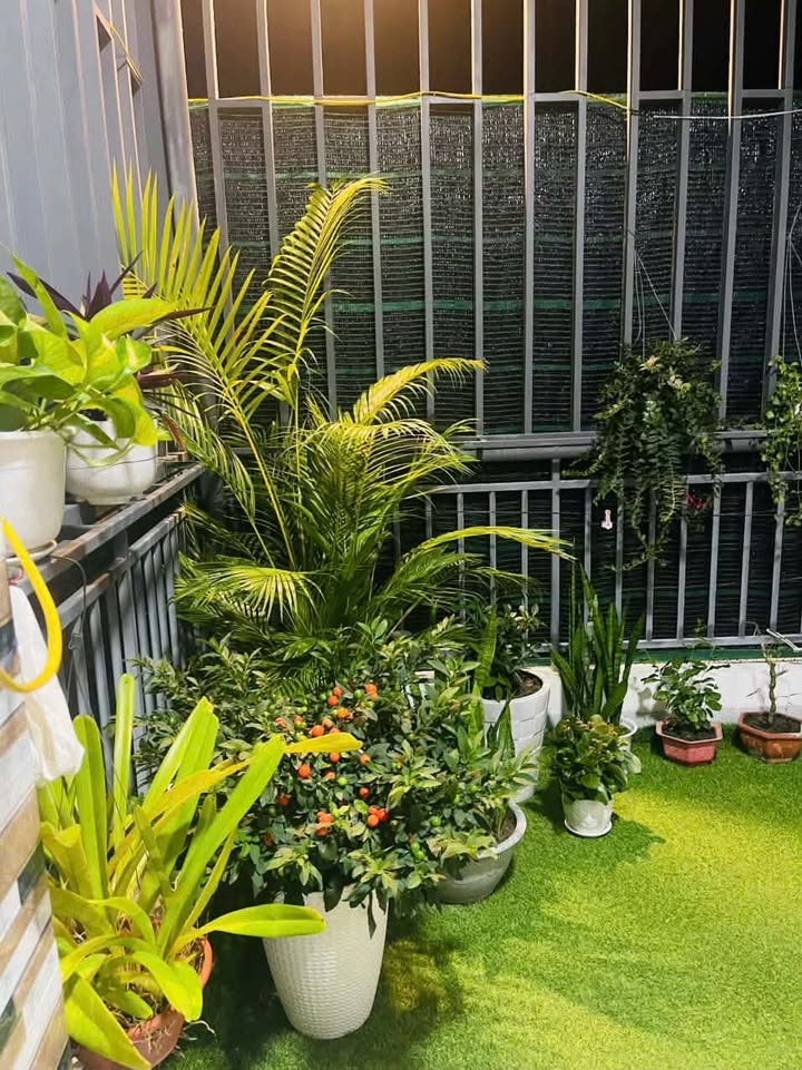 Nhà mới xây tại Phước Đồng, Nha Trang 65m² giá 800 triệu - Sẵn sàng vào ở!