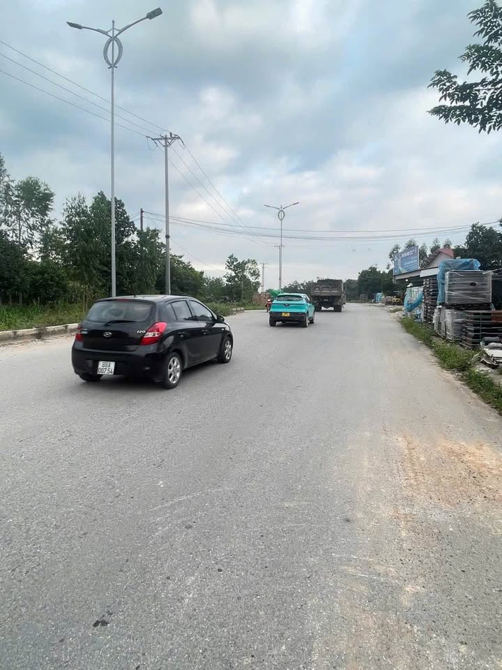 Đất mặt đường Tỉnh Lộ 310, Tam Dương, Vĩnh Phúc 120m² giá 3 tỷ - Tiềm năng sinh lời cao!