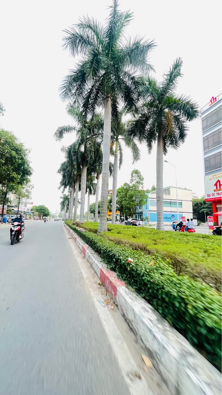 Bán mặt tiền Nguyễn An Ninh Dĩ An 130m² giá 16.8 tỷ - Đầu tư sinh lời ngay!