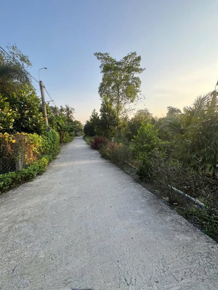 Đất nền 748m² xã Tân Phú - Đồng Tháp giá 1.05 tỷ - Mặt tiền kênh lớn!