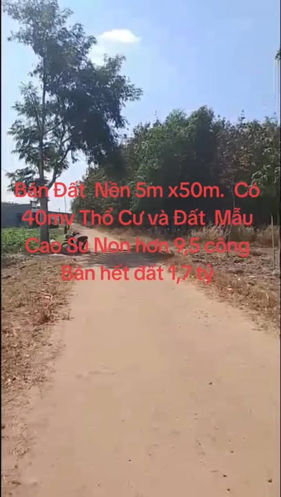Đất nền mặt tiền Đường Đỏ, Huyện Cần Đước, 2500m² giá 1,7 tỷ - Cơ hội đầu tư tuyệt vời!