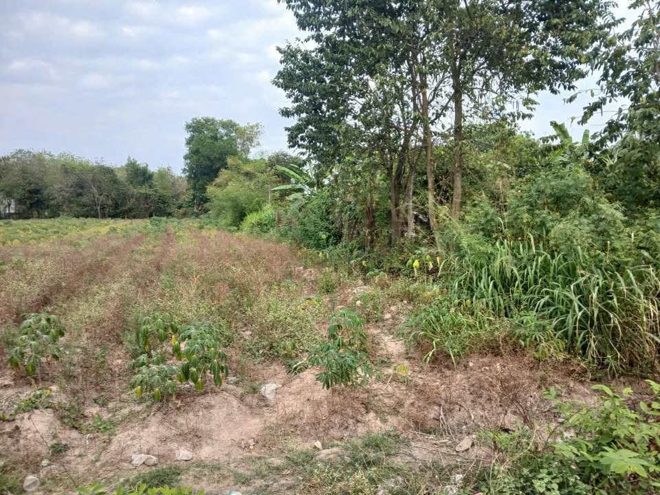 Đất thổ cư 5000m² tại khu dân cư Kinh tế, Tây Ninh - Giá thỏa thuận hấp dẫn!