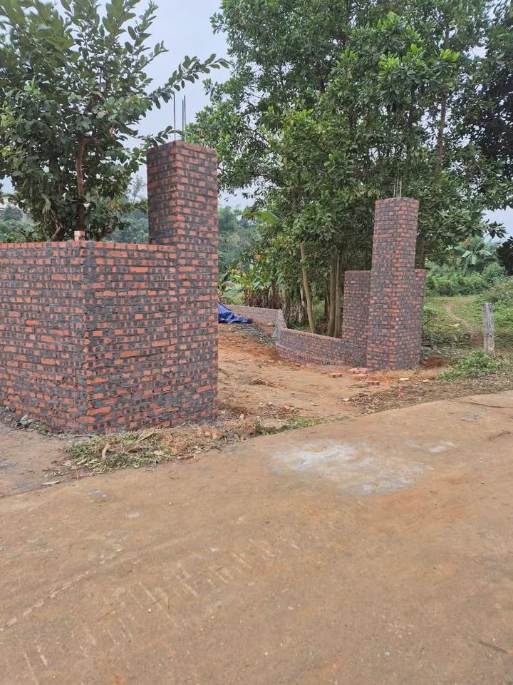 Đất nền 800m² tại Khánh Thượng, Ba Vì - Giá chỉ từ 200 triệu!