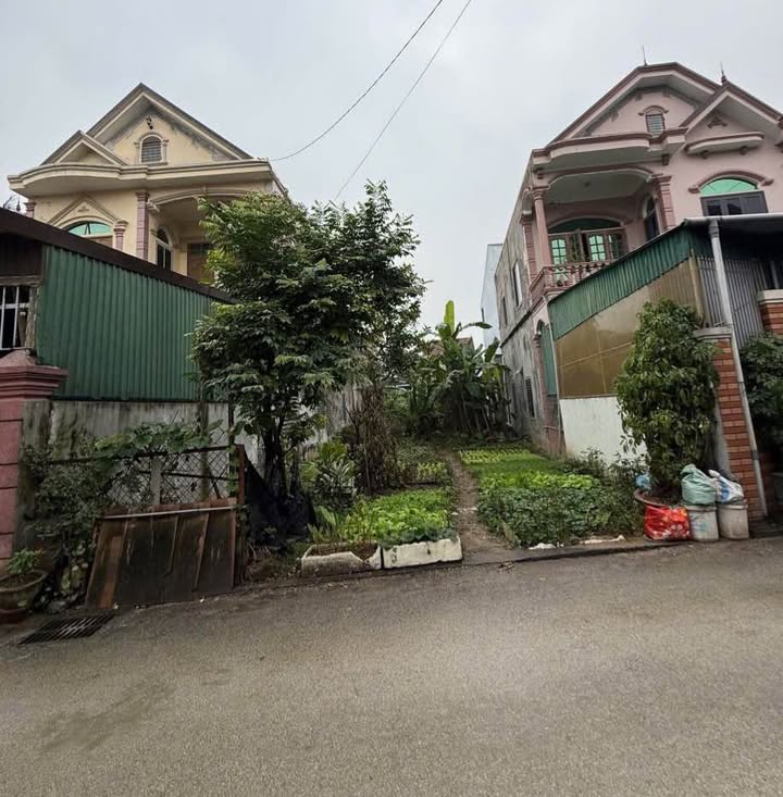 Lô đất vàng đường Hải Thượng Lãn Ông 168.6m² giá 7.3 tỷ - Đầu tư sinh lời cao!