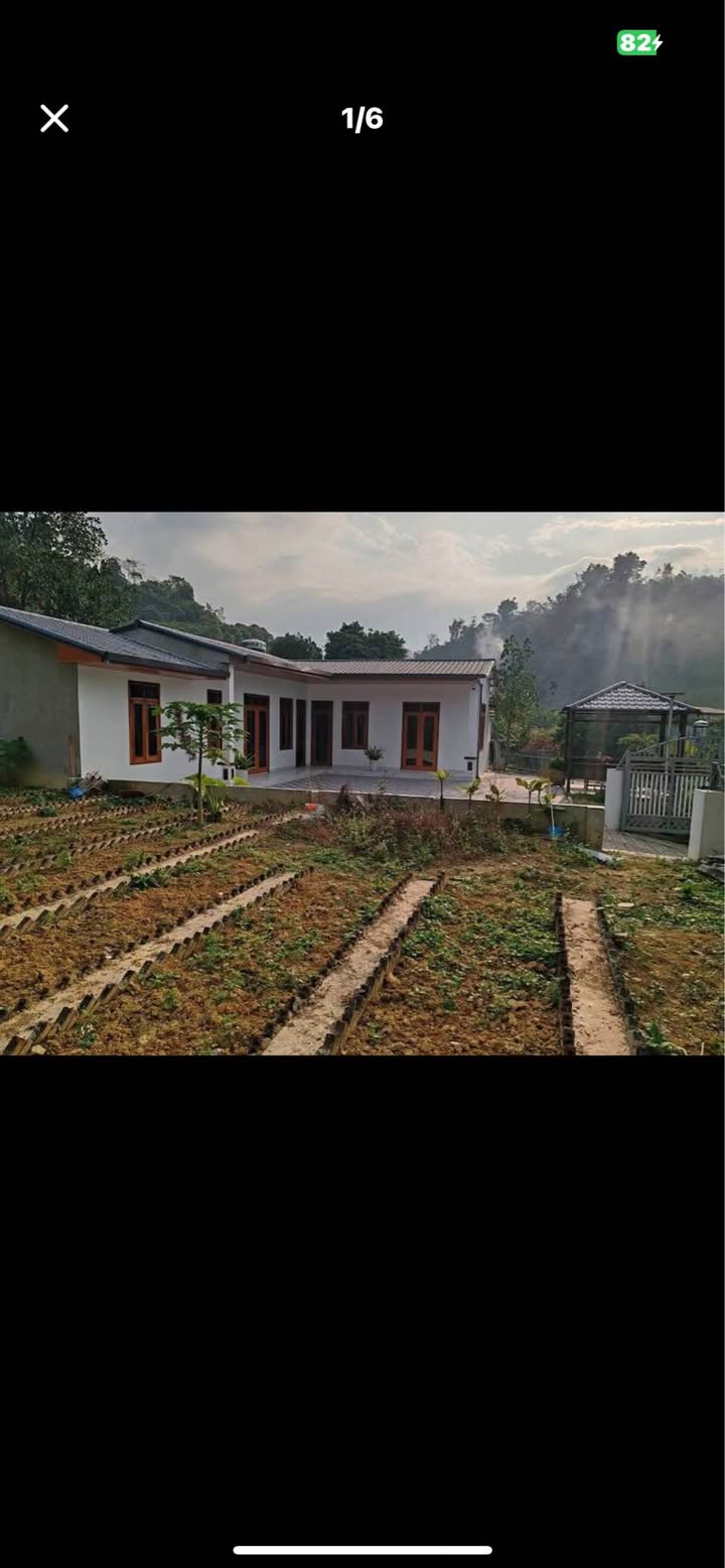 Nhà vườn Thôn Thác, Cam Đường 949m² giá 2.5 tỷ - Không gian sống lý tưởng!