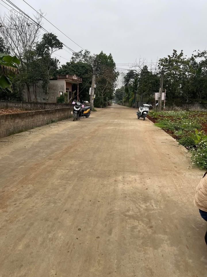 Đất thổ cư Xã Thăng Bình, Huyện Nông Cống 126m² giá chỉ 200 triệu - Cơ hội đầu tư tuyệt vời!