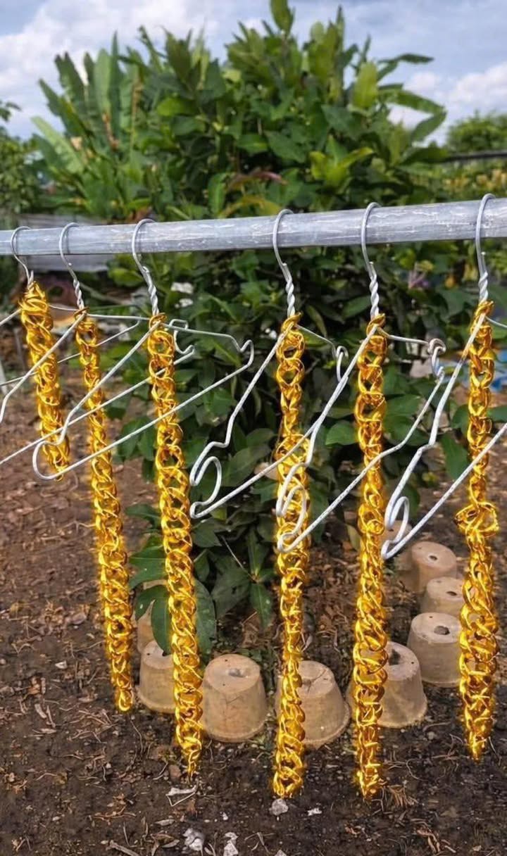 Đất nền MP4 Quận 1 giá từ 1.4 tỷ - Sổ hồng chính chủ, đầu tư sinh lời!