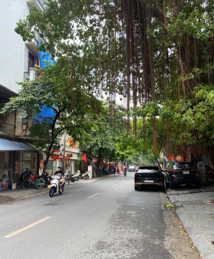 Đất nền mặt ngõ Nguyễn An Ninh, Hoàng Mai 51m² giá 13.5 tỷ - Cơ hội đầu tư hiếm có!