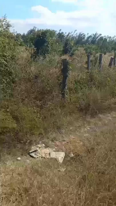 Đất nền tại xã Chư Don, huyện Chư Pưh, 325m² giá 22.75 tỷ - Sổ hồng chính chủ!