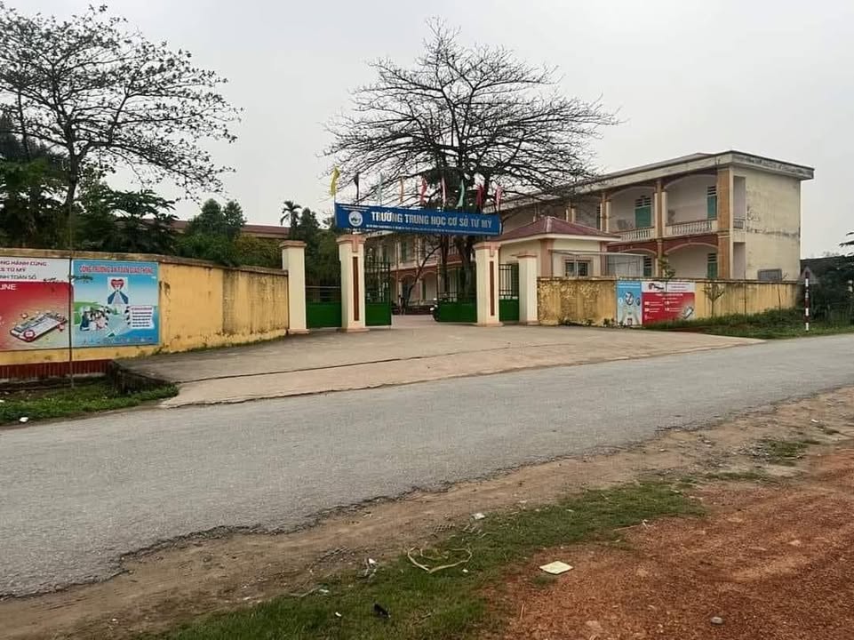 Đất đấu giá Tứ Mỹ - Tam Nông 140m² giá 1 tỷ - Cơ hội đầu tư hiếm có!