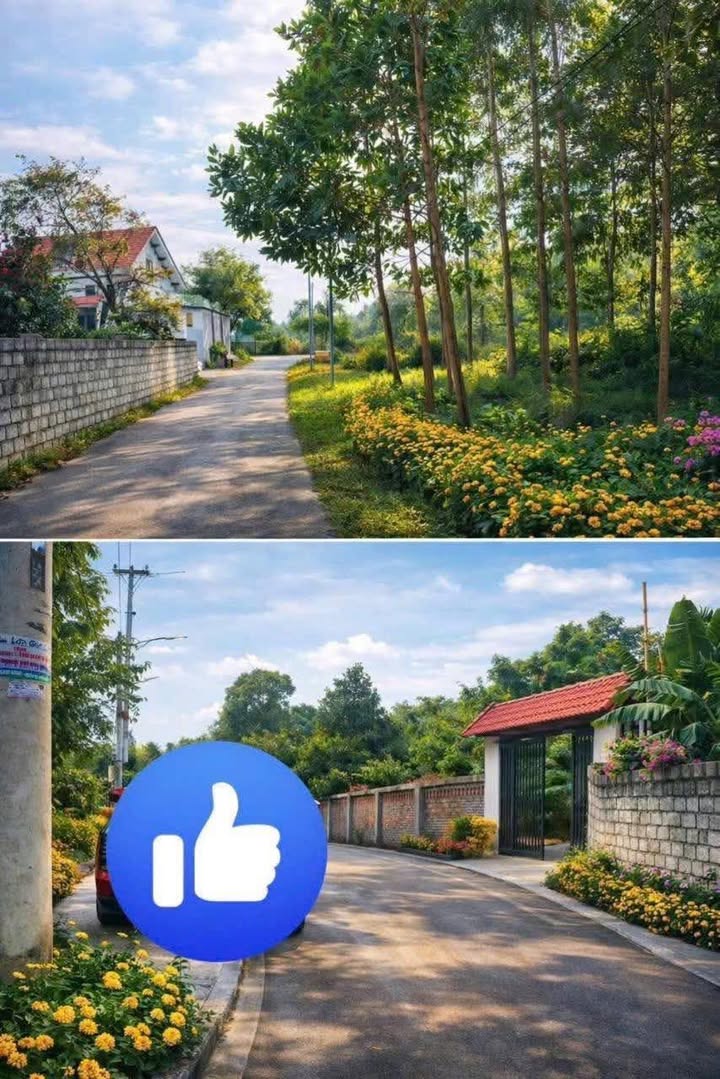 Đất nền 116m² xã Lập Thạch Vĩnh Phúc - Giá tốt, đầu tư sinh lời!