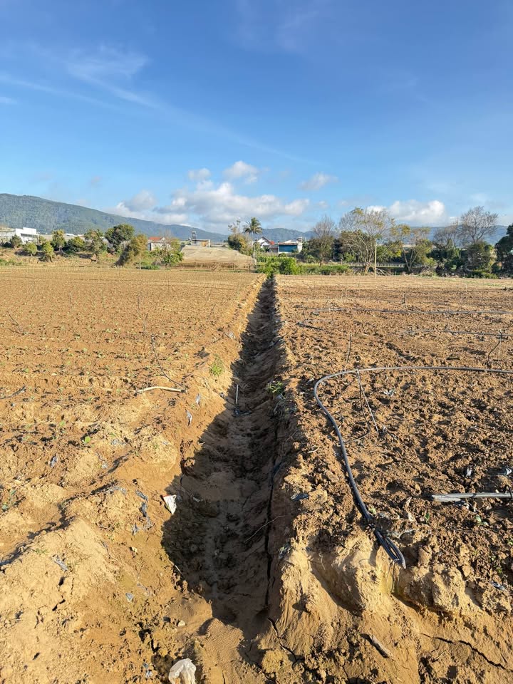 Đất sào Lạc Xuân, Đơn Dương, Lâm Đồng 5,1 sào chỉ 390 triệu - Sổ đỏ chính chủ!