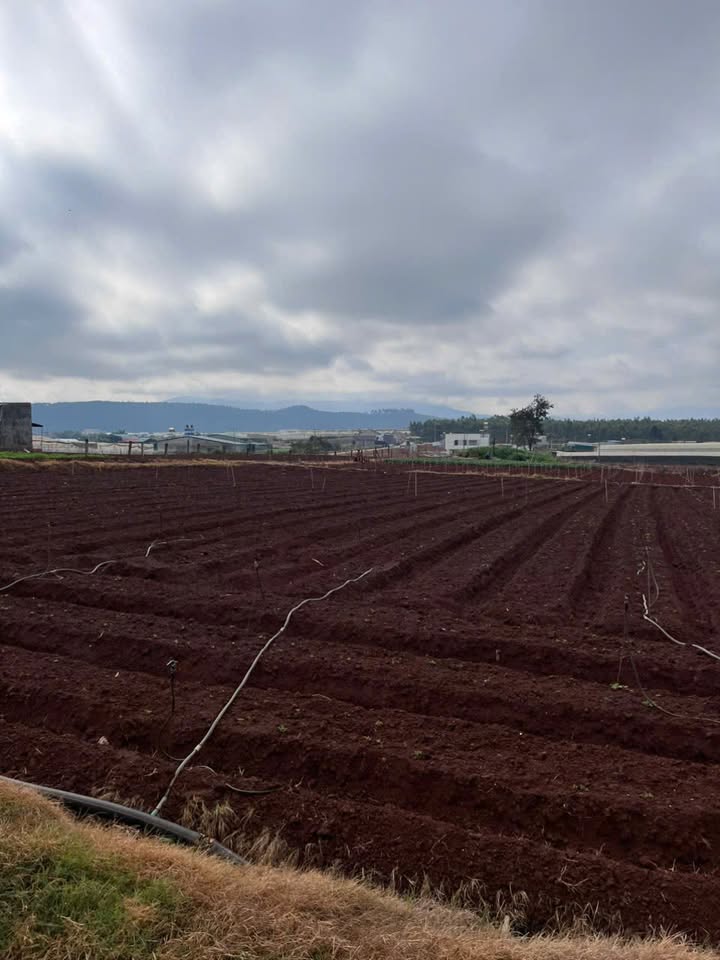 Đất nền Đạ Ròn, Huyện Đơn Dương 2800m² giá 3.8 tỷ - Đầu tư sinh lời ngay!