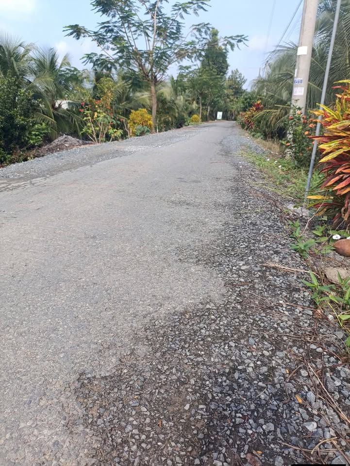 Đất farm 5000m² mặt tiền nhựa xã Mỹ An - Tiềm năng đầu tư lớn!