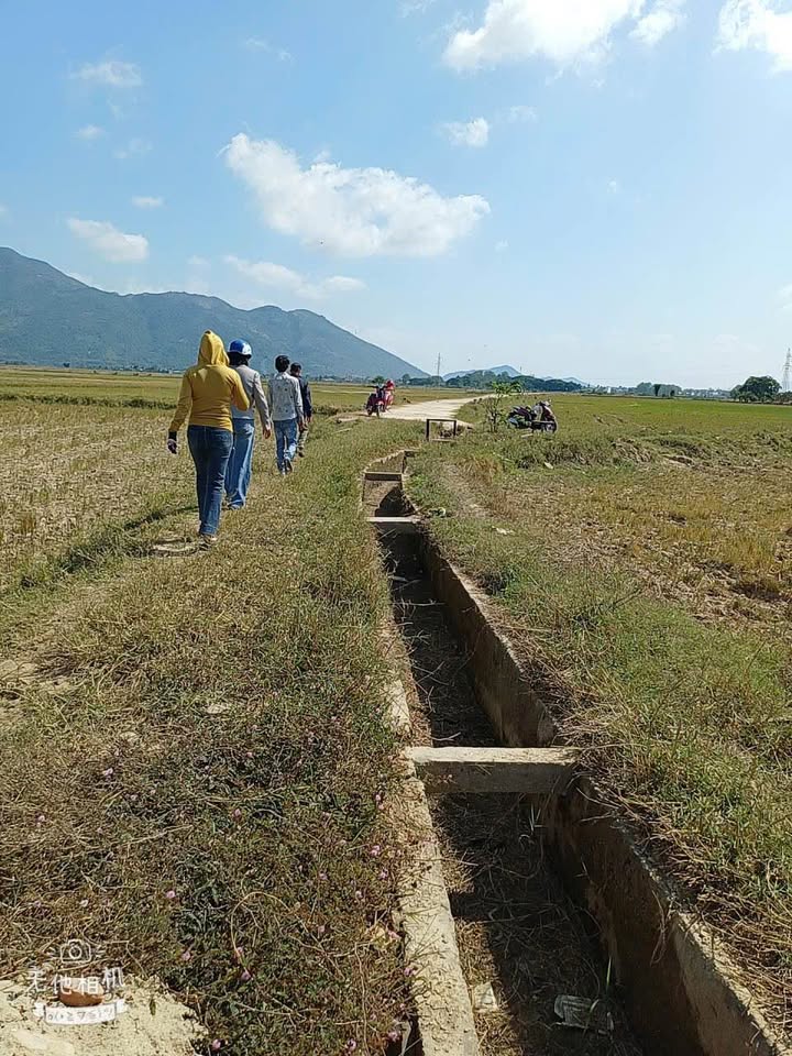 Đất Lúa Diên Sơn, Diên Khánh 2200m² giá 249 triệu - Sổ hồng chính chủ!