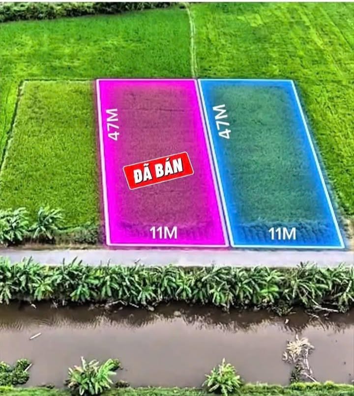 Đất nền Xã Ngũ Lạc, Huyện Duyên Hải, 517m² giá 385 triệu - Cơ hội đầu tư tuyệt vời!