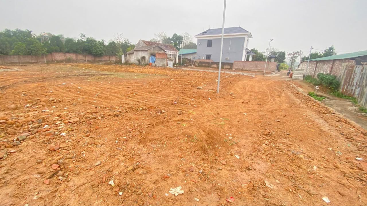 Đất nền dự án tại xã Hướng Đạo, huyện Tam Dương, 100m² giá chỉ 600 triệu - Đầu tư thông minh!