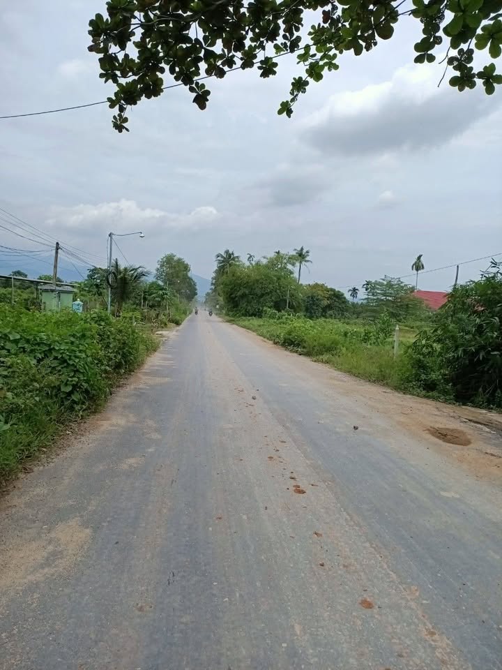 Đất nền thôn Đồng Bé, Diên Thọ, 149m² giá chỉ 1.35 tỷ - Cơ hội đầu tư tuyệt vời!