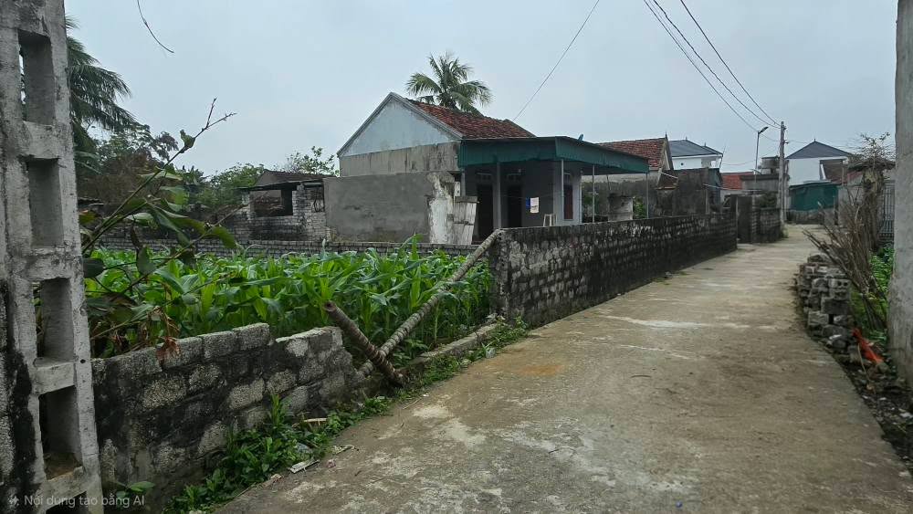 Đất nền xã Diễn Hoàng, huyện Diễn Châu, 145m² giá 800 triệu - Đầu tư sinh lời tiềm năng!