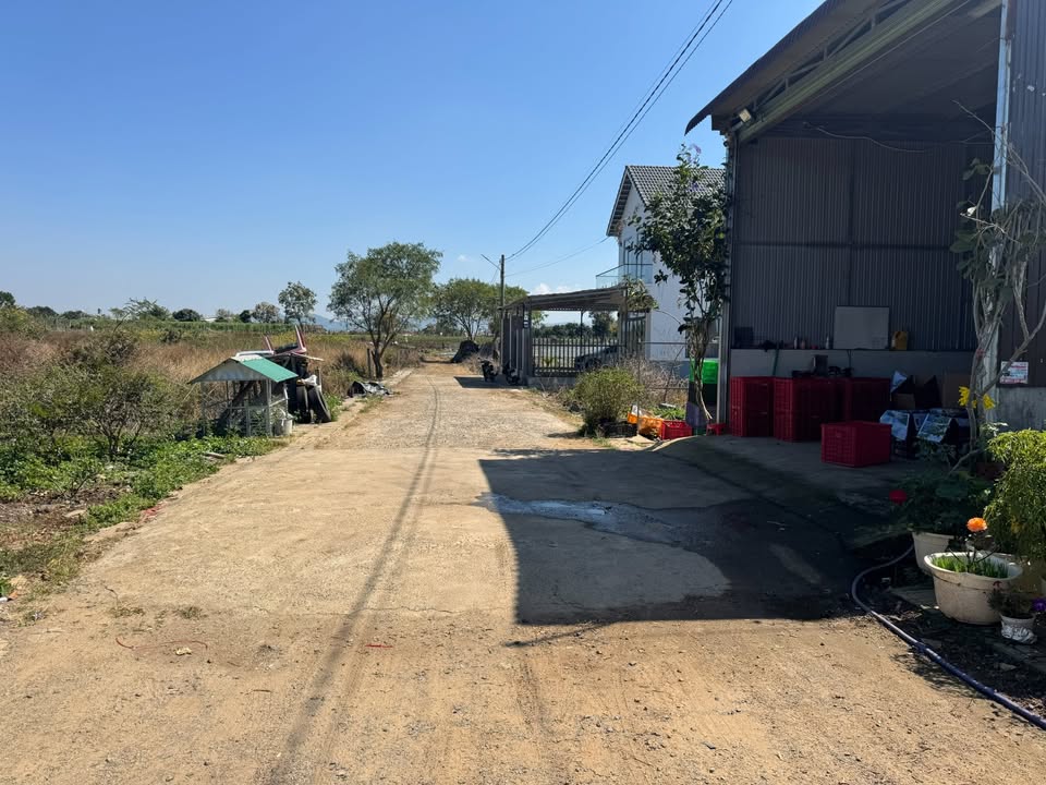 Đất thổ cư Liên Nghĩa 175m² giá 890 triệu - Đầu tư sinh lời cao!