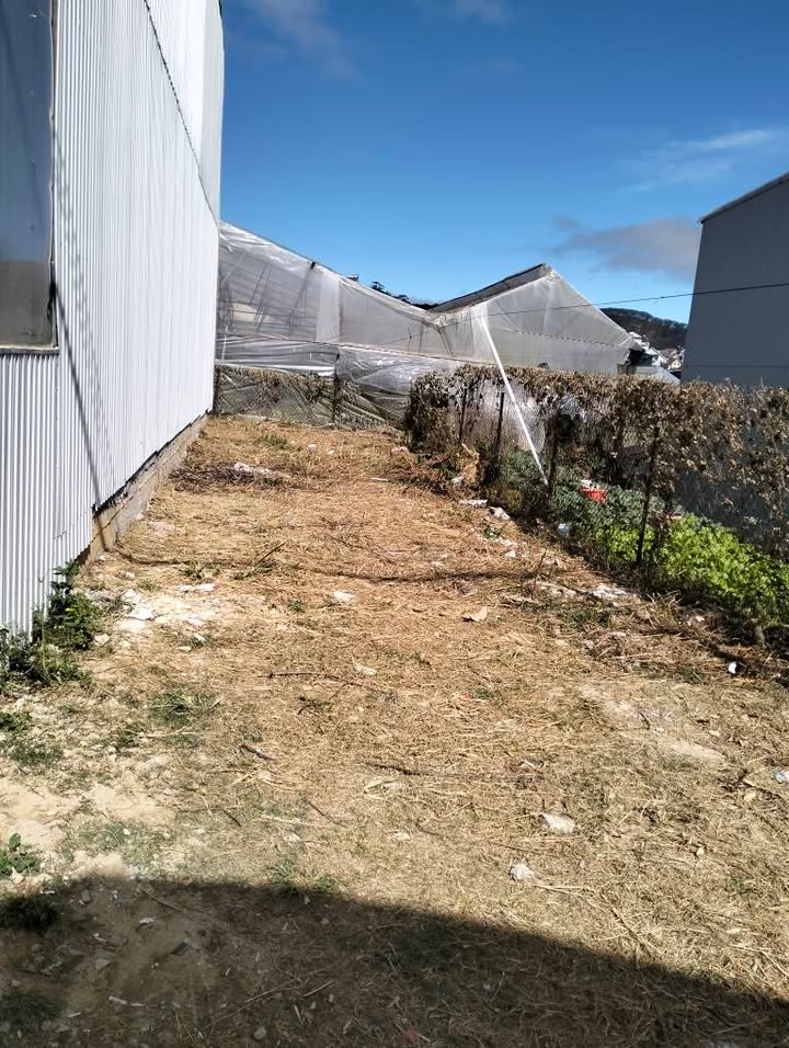 Lô đất xây dựng Đà Lạt 74m² giá 2.55 tỷ - Sổ hồng riêng, vị trí đắc địa!