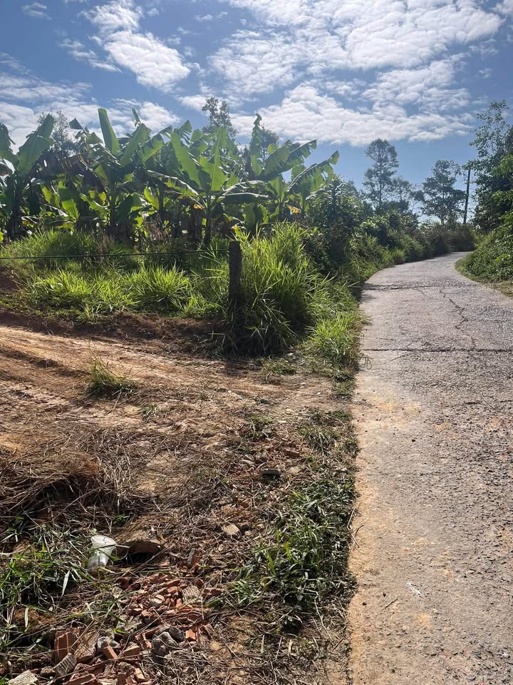 Đất thổ cư 480m² đường Liên Thôn, huyện Di Linh giá 1.4 tỷ - Cơ hội đầu tư hiếm có!