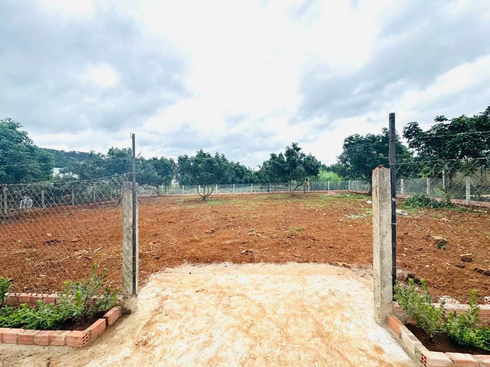 Đất nền đẹp Tà Nung Đà Lạt 716,1m² giá chỉ 5,8 tỷ - Cơ hội đầu tư sinh lời!