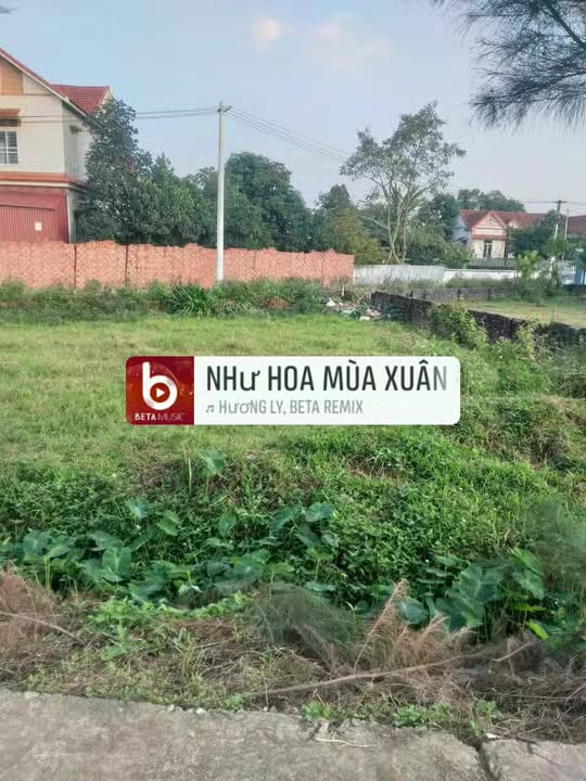 Đất thổ cư 264m² tại xã Phùng Nguyên, huyện Lâm Thao - Sổ đỏ chính chủ, góc 2 mặt tiền!