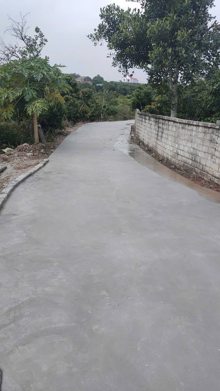 Đất xây nhà vườn Quý Sơn, Bắc Giang 1000m² giá chỉ 700 triệu - Đầu tư sinh lời hấp dẫn!