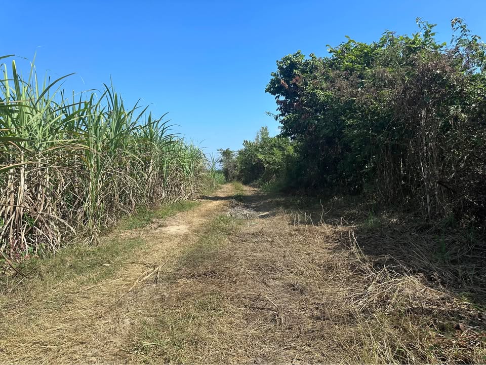 Đất nền Diên Thọ, Diên Khánh 8352m² giá 1.35 tỷ - Ô tô vào tận đất!