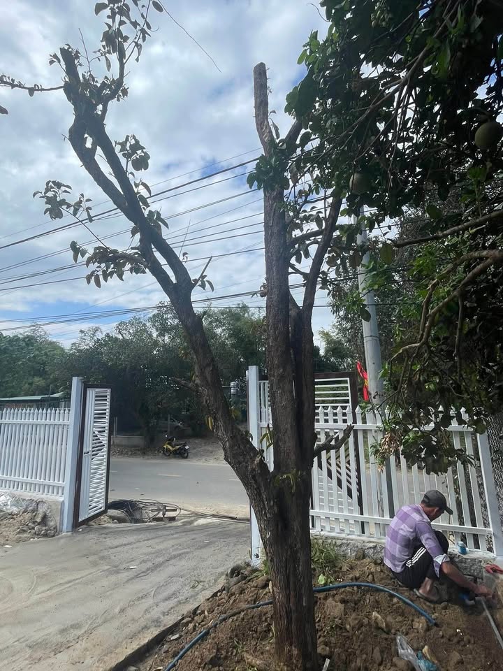 Nhà vườn 1000m² Tỉnh Lộ 2, Xã Diên Thọ giá 3 tỷ - Không thể bỏ lỡ!