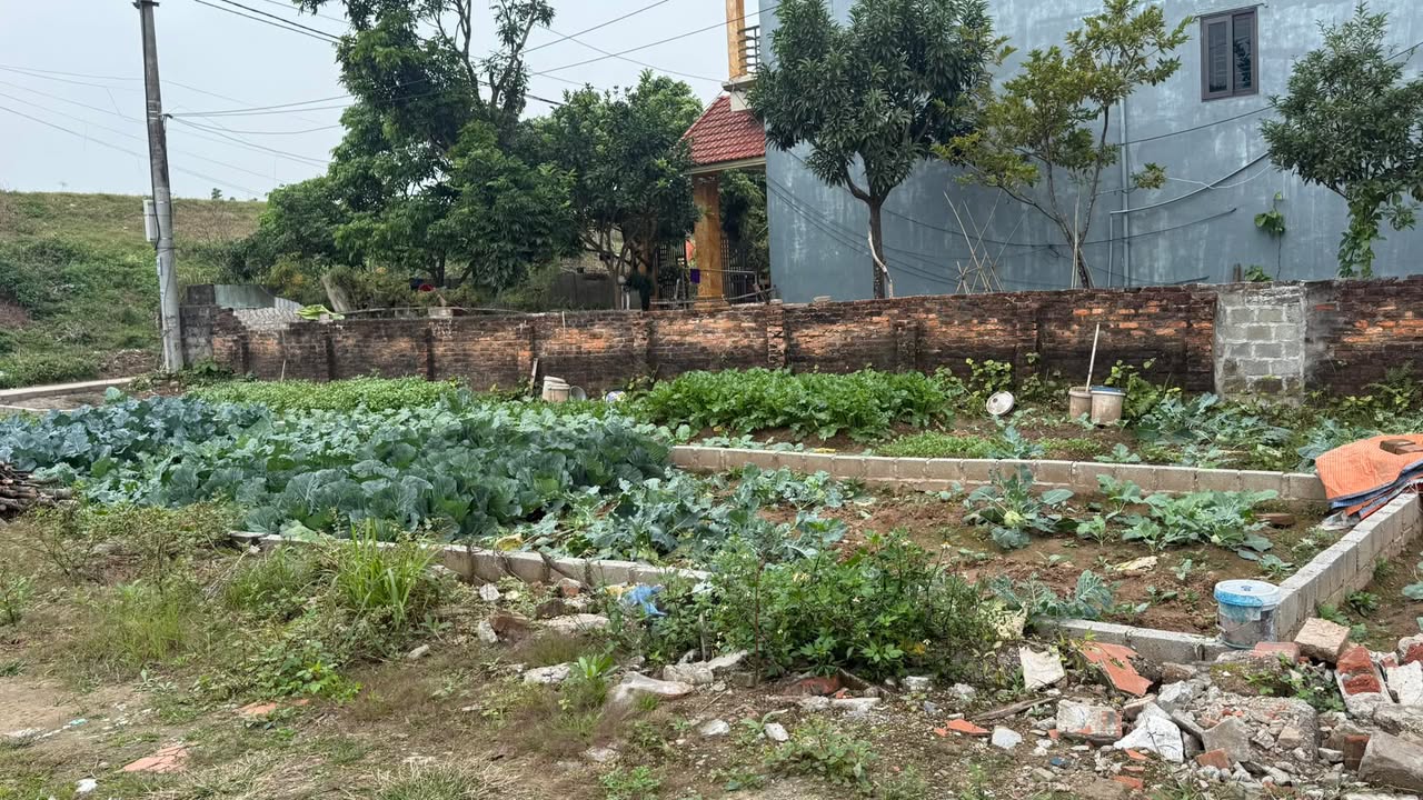 Nhà riêng Phường Lam Sơn 70m² giá 2 tỷ - Cơ hội không thể bỏ lỡ!