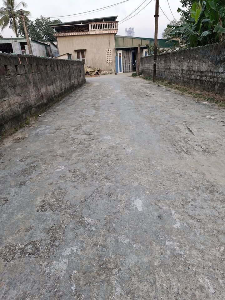 Lô đất thổ cư 150m² tại khu 5, Bỉm Sơn - Giá thỏa thuận hấp dẫn!