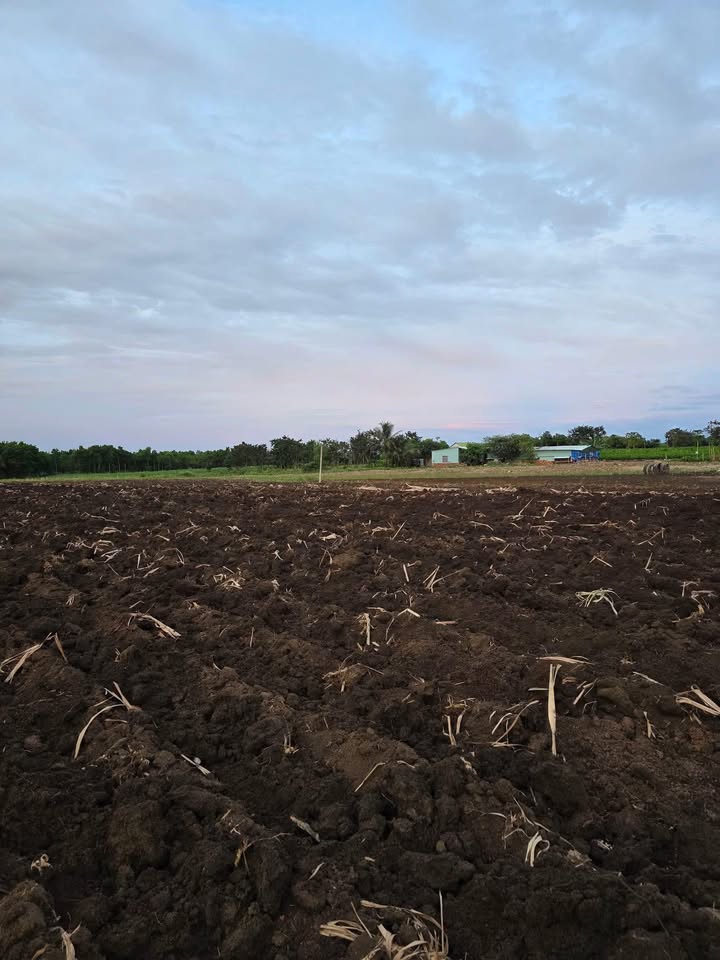 Đất nền 2 héc tại Chư Sê - Giá thỏa thuận - Cơ hội đầu tư hấp dẫn!