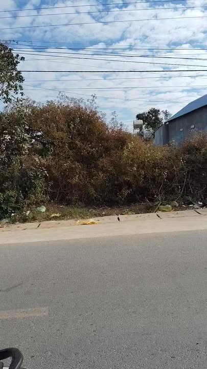 Đất nền đẹp tại xã Đạ Long, Huyện Đam Rông, 490m² - Giá chỉ 9.996 tỷ!