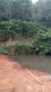 Đất Farm 20,800m² tại Xã Đoàn Kết, Bình Phước giá 1.1 tỷ - Cơ hội đầu tư tuyệt vời!