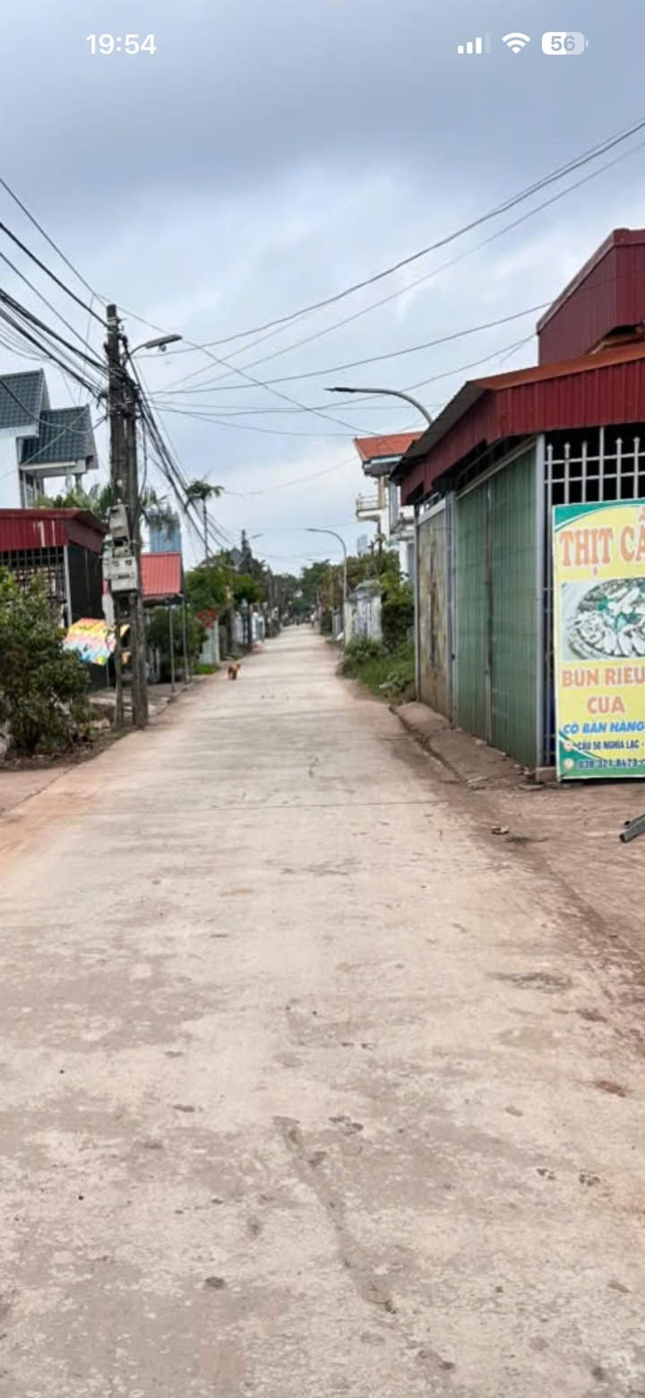 Đất nền đẹp tại Nghĩa Lạc, 98m² chỉ 1 tỷ - Cơ hội đầu tư hiếm có!