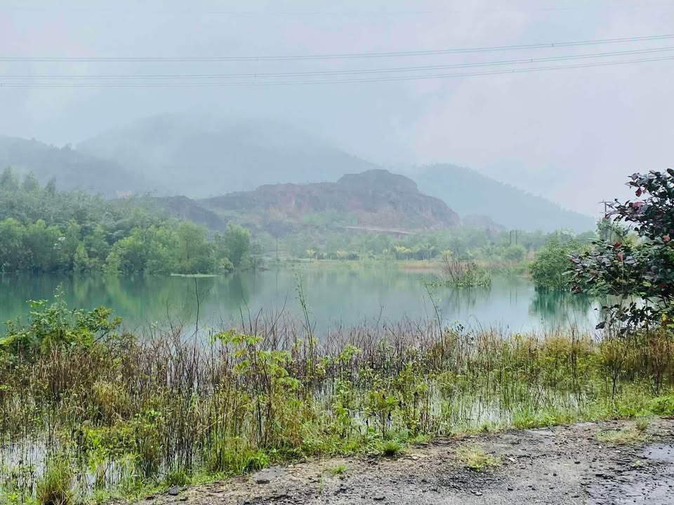 Bán lô đất lâm nghiệp 3000m² tại Hòa Nhơn - Sổ đỏ chính chủ, giá chỉ 1.4 tỷ!