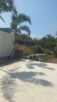 Đất nền xã Long Nguyên, huyện Bàu Bàng, 500m² giá 2.28 tỷ - Đầu tư tiềm năng!