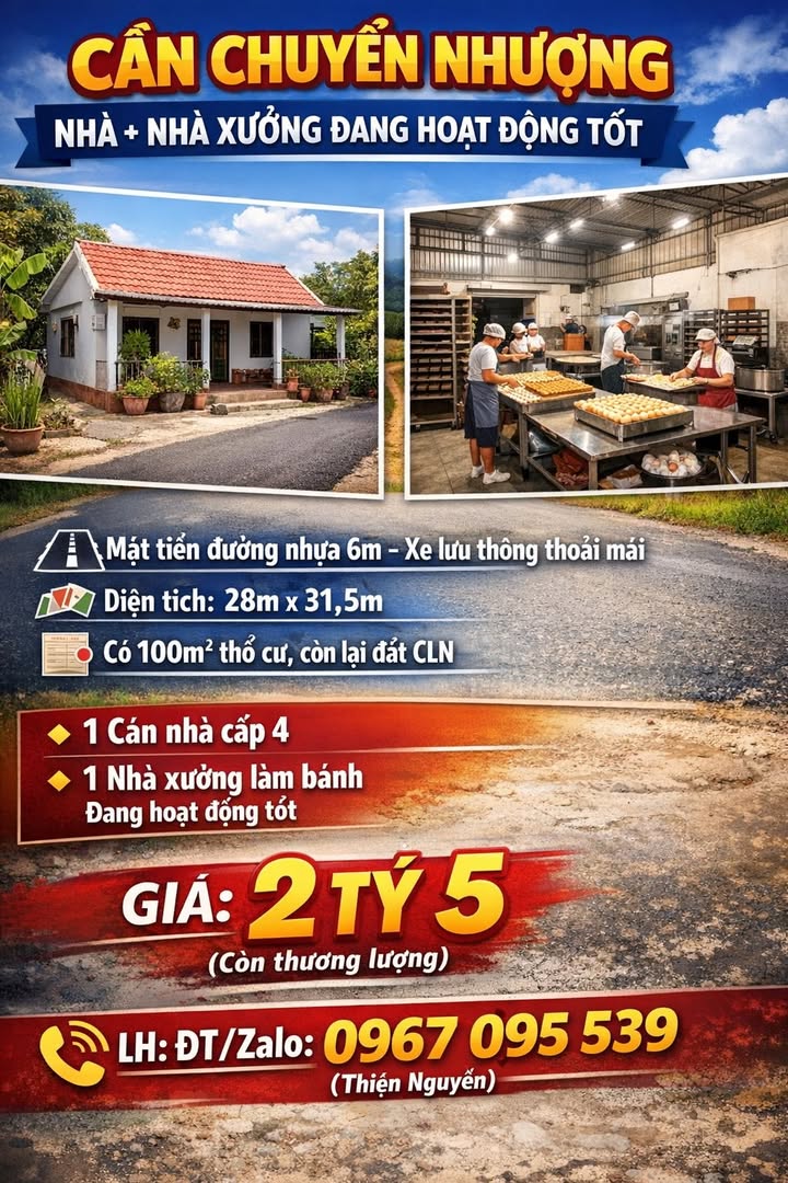 Nhà xưởng hoạt động tốt tại Trà Vinh 882m² giá 2.5 tỷ - Đầu tư sinh lời ngay!
