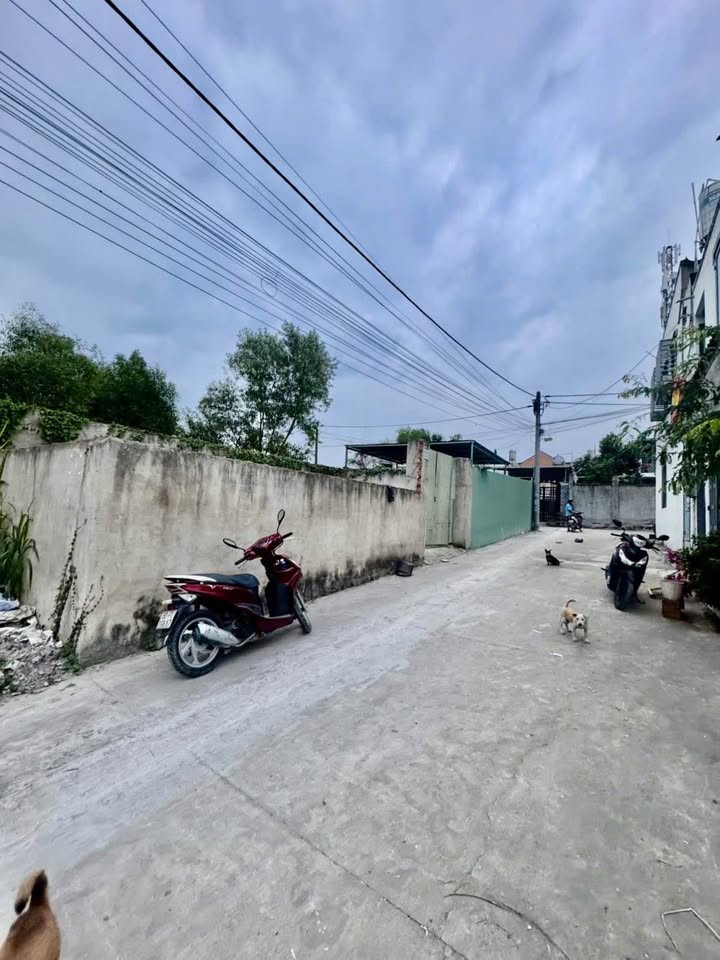 Đất nền Khu phố 3 Trảng Dài 50m² giá 550 triệu - Pháp lý hoàn chỉnh!