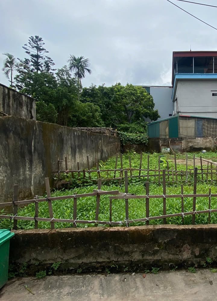 Đất nền Tả Thanh Oai 55m² giá chỉ 5 tỷ - Cơ hội đầu tư sinh lời cao!