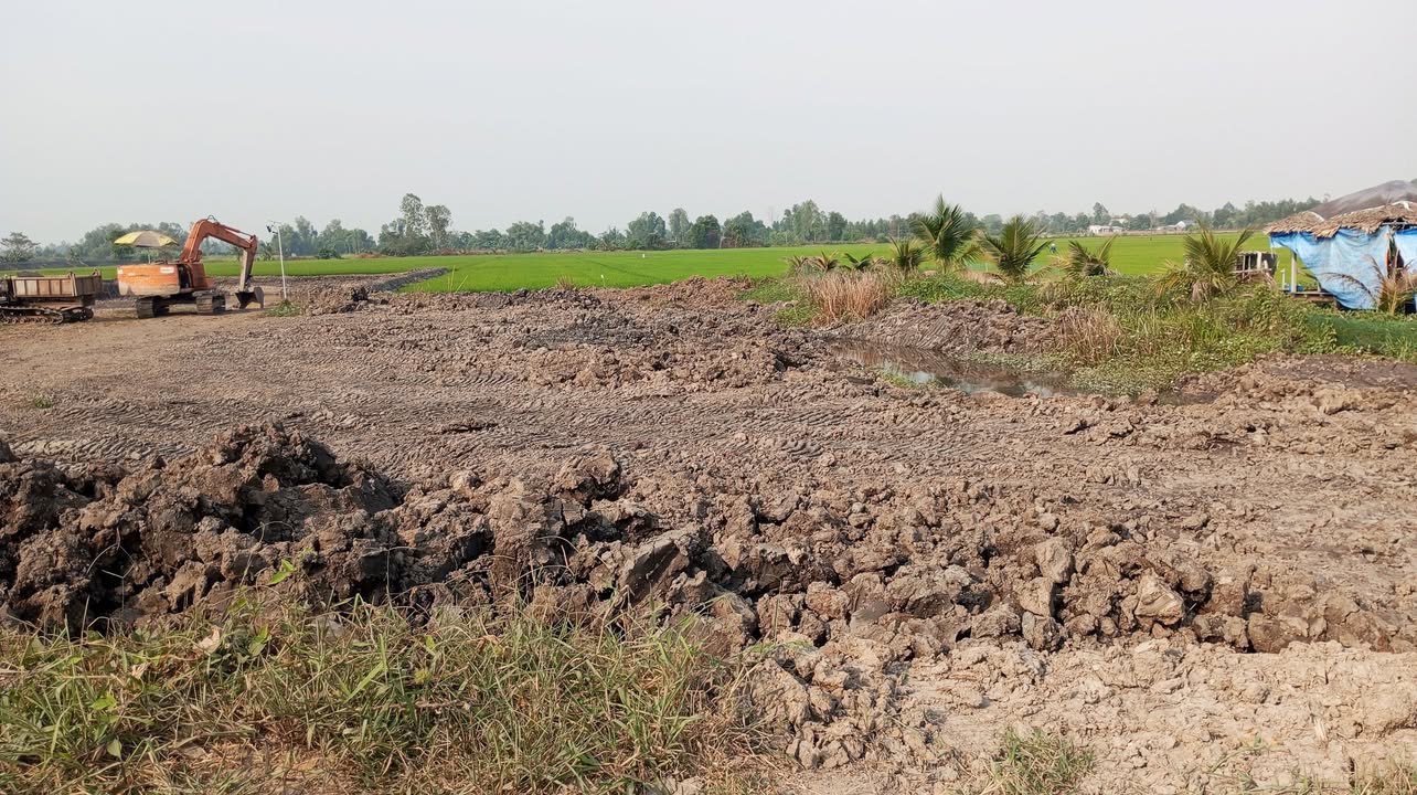 Đất nền Lộ Cả Sao, Hòa Long, 1280m² giá 1 tỷ - Đầu tư sinh lời tuyệt vời!