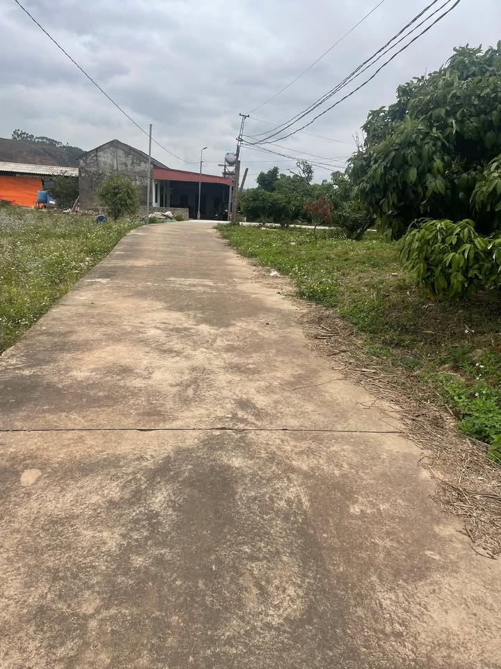 Đất thổ cư 400m² tại xã Nam Dương, Bắc Giang - Giá chỉ 3 tỷ!