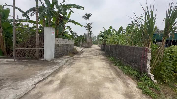 Đất thổ cư Xã Mỹ Thành 232m² giá 1 tỷ - Đường thông thoáng, thuận tiện kết nối!