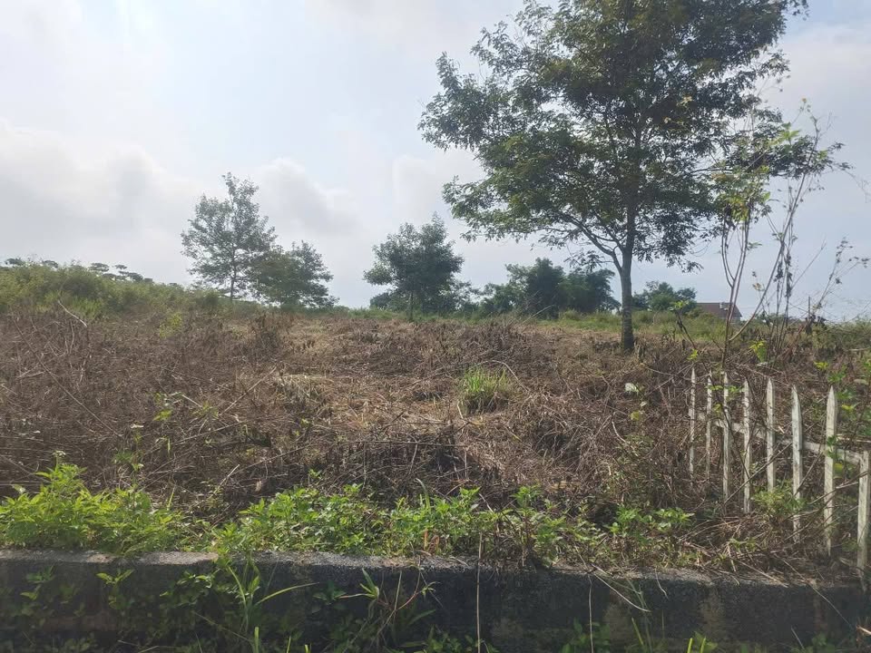 Đất nền thổ cư 520m² hẻm Lê Thị Riêng giá chỉ 1.75 tỷ - Cơ hội đầu tư tốt!