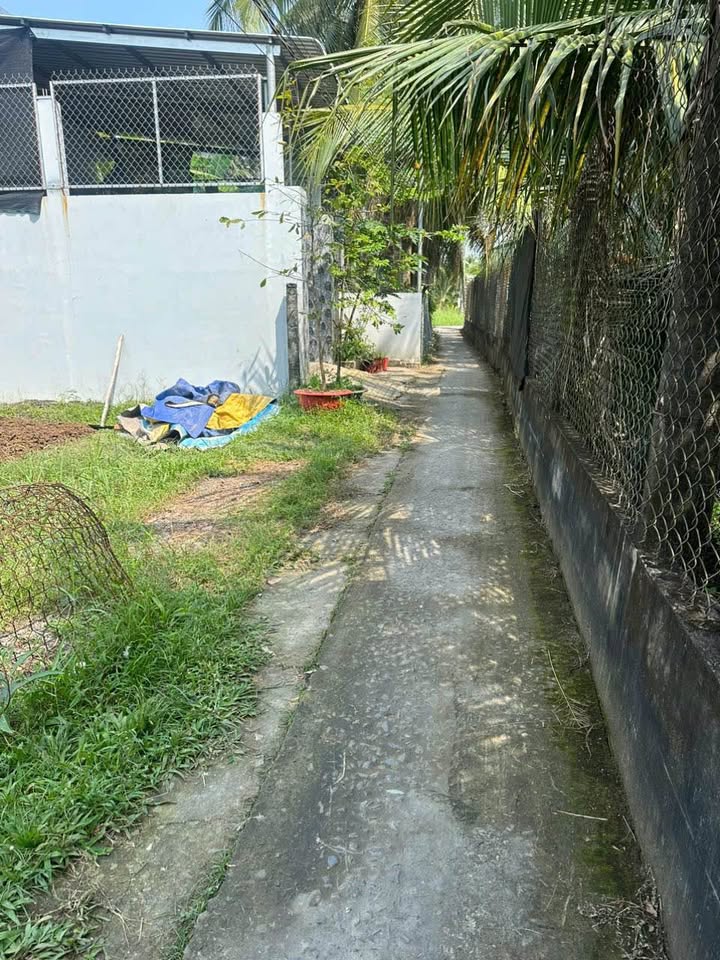 Đất nền 126m² xã An Thạnh Thủy, giá chỉ 260 triệu - Cơ hội đầu tư hấp dẫn!